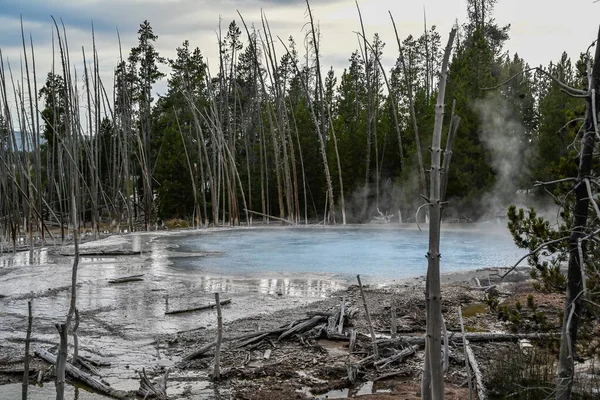 A geyser, steam and water boils from the ground of geothermal areas