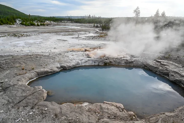 A geyser, steam and water boils from the ground of geothermal areas