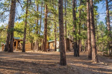 Arizona 'daki Büyük Kanyon Ulusal Parkı manzarası