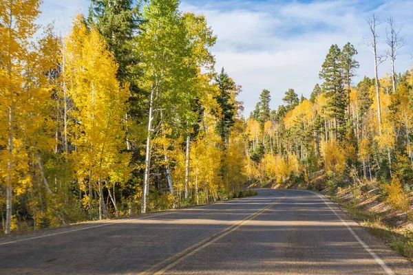 A long way down the road going to Grand Canyon National Park, Arizona