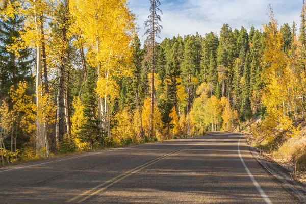 A long way down the road going to Grand Canyon National Park, Arizona