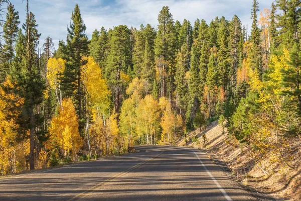 A long way down the road going to Grand Canyon National Park, Arizona