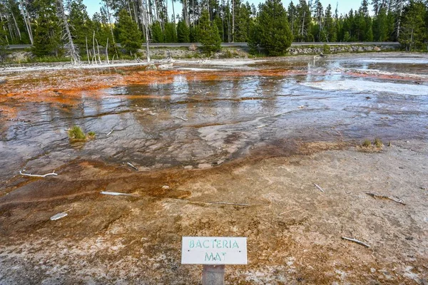 Yellowstone Estados Unidos Agosto 2020 Bacteria Mat — Foto de Stock