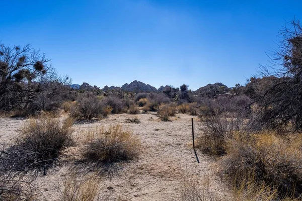 Paisaje Épico Montaña Desde Sendero Del Desierto —  Fotos de Stock