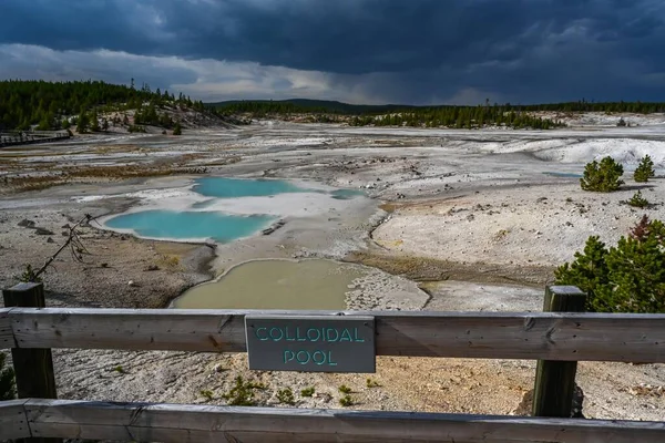 Yellowstone Estados Unidos Agosto 2020 Piscina Coloidal — Foto de Stock