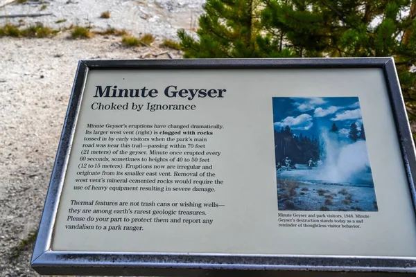 Yellowstone Usa 2020年8月12日 Minute Geyser — ストック写真