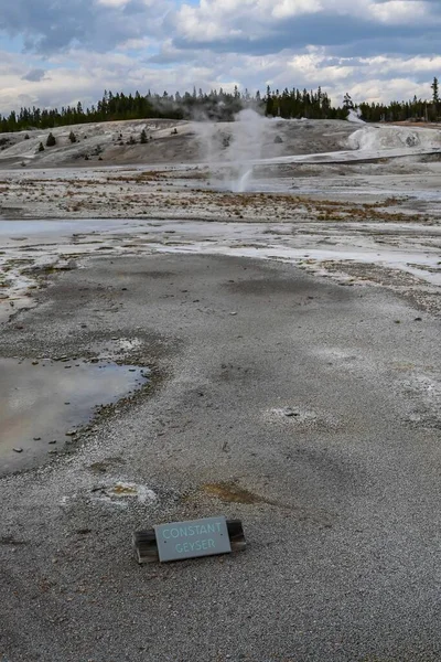 Yellowstone Estados Unidos Agosto 2020 Géiser Constante — Foto de Stock