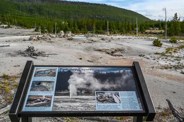 Yellowstone Estados Unidos Agosto 2020 Géiser Prokchop — Foto de Stock