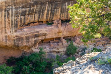 Mesa Verde NP, Colorado 'daki Cliff Yıkıntıları
