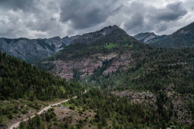 Ouray, Colorado 'da Dağ Uçurumları ve Yeşil Ağaçlarla Manzaralı Vadi