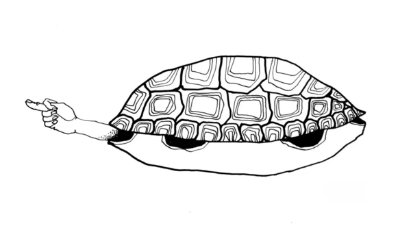 A surrealistic turtle — Stock Photo, Image