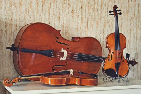 müzik aletleri
