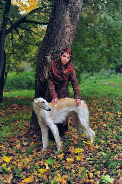 Girl with a dog posing in countryside — Stock Photo, Image