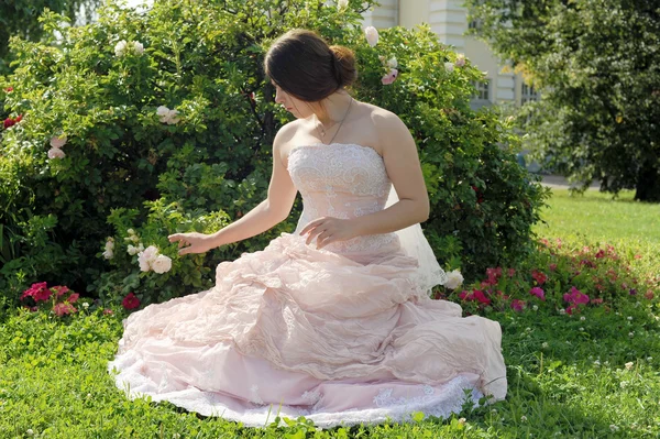 Jardim, menina em um jardim, verão, menina com um arbusto rosa, arbusto rosa, vestido rosa, nobre, noiva, vestido de noiva, Kolomna, Moscou, Kolomna park , — Fotografia de Stock