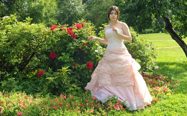 Ogród, dziewczyna w ogrodzie, lato, dziewczyna z różowym krzakiem, różowy Busha, różowa sukienka, szlachcianki, panna młoda, suknia ślubna, Kolomna, Moskwa, Kolomna parku, — Zdjęcie stockowe