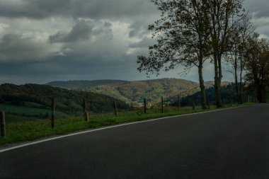 Renkli ve parlak sonbahar ormanı, dağların manzarası. Dağlarda sonbahar. Baykuş Dağları.