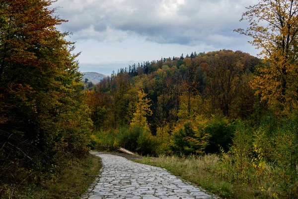 Bunte Und Helle Herbstwälder Bergpanorama Herbst Den Bergen Eulengebirge — Stockfoto