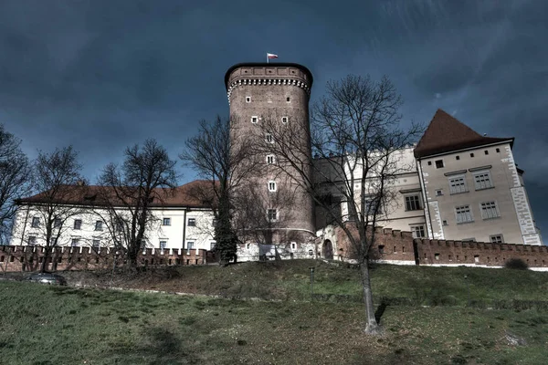 Krakkó Lengyelország 2020 Királyi Vár Wawel Kastélyban Wawel Járvány Idején — Stock Fotó