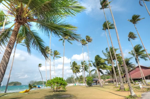 Baia di Lagoi, Bintan, Indonesia — Foto Stock