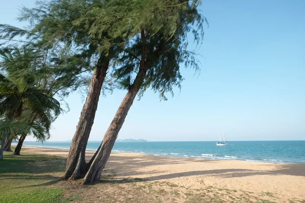 Cherating Beach, Куантан, Малайзия Стоковая Картинка