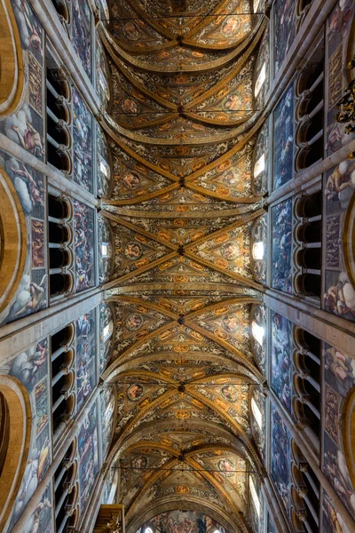 Interior da Catedral de Parma — Fotografia de Stock