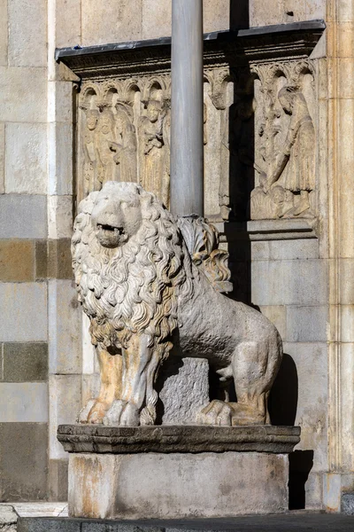 Leeuw bij de ingang van de kathedraal van Modena — Stockfoto