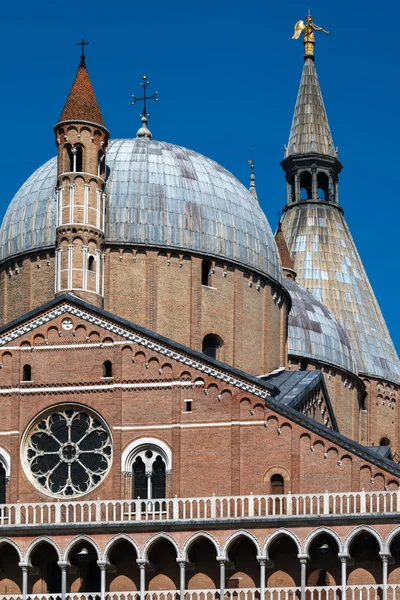 Базилика Святого Антония Падуанского в Падуе, Италия — стоковое фото