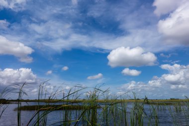Florida Everglades Ulusal Parkı