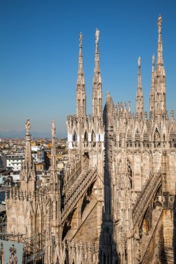 Milano Katedrali'ne mermer Kulesi