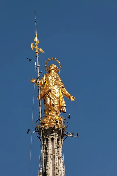밀라노 대성당 꼭대기 마돈나의 동상 — 스톡 사진