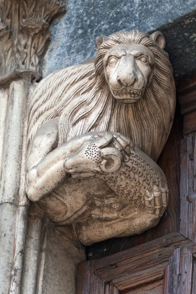 Bir kuzu eti holding aslan — Stok fotoğraf