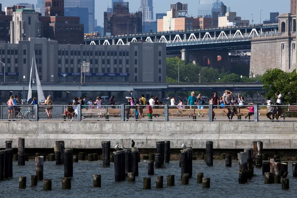 Brooklyn híd park — Stock Fotó