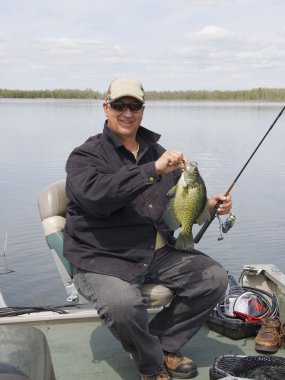 Siyah Crappie Balık tutma