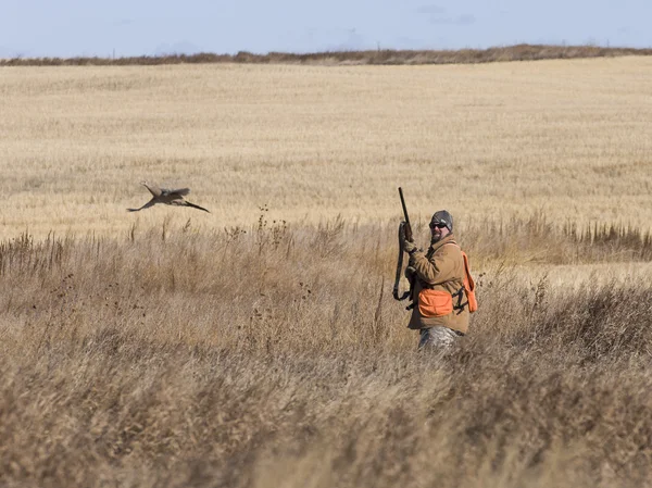 A Hunter and his dog — Stock Photo, Image