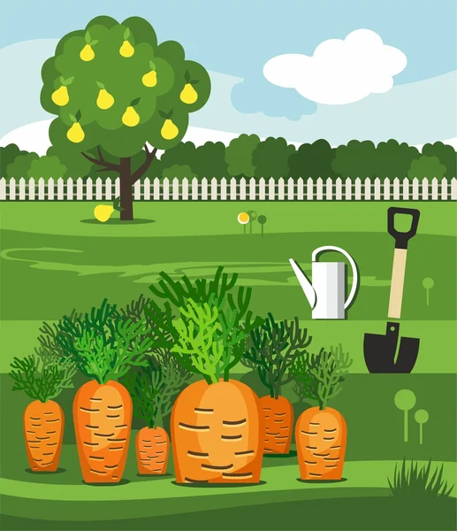 Морква, овочевий сад, лопата і груша . — стоковий вектор