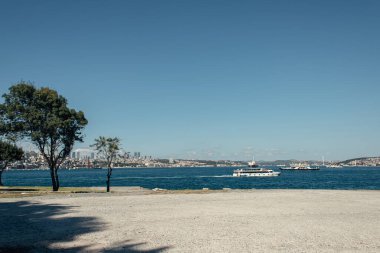 Türkiye 'nin İstanbul kentinde deniz kenarındaki ağaçlar ve gemiler 