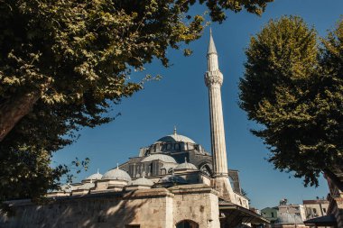 Trees near facade of Mihrimah Sultan Mosque, Istanbul, Turkey  clipart