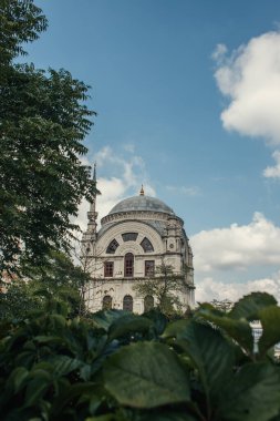Plants on blurred foreground and Mihrimah Sultan Mosque in Istanbul, Turkey  clipart