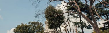 Trees near Clock Tower of Dolmabahce palace in Istanbul, Turkey, banner  clipart