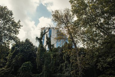 İstanbul, Türkiye 'de arka planda bina ve gökyüzü bulunan ağaçlar ve santraller 