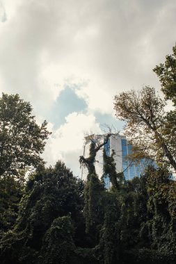 İstanbul, Türkiye 'de kent caddesindeki bina ve ağaçların üzerindeki bulutların düşük açılı görüntüsü 