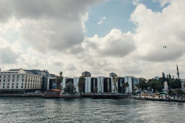 İSTANBUL, TURKEY - 12 Kasım 2020: İstanbul, Türkiye 'de deniz kıyısındaki binaların üzerinde uçan kuş 