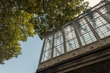 İstanbul, Türkiye 'de yüksek pencereli bir binanın yakınındaki ağaç manzarası 