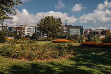 İstanbul, Türkiye 'de kentsel caddede çayır üzerinde çiçek tarlaları 