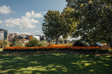 İstanbul, Türkiye 'de çimenlikte çiçekler ve ağaçlar ve sokakta güneş ışığı 