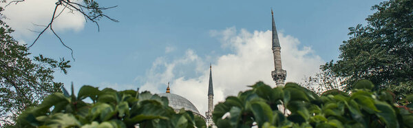 Низкий угол обзора колонн мечети Михрима Султан и растений на размытом переднем плане, Стамбул, Турция, баннер 