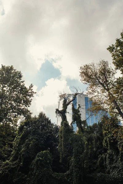 Low angle view of clouds above building and trees on urban street in Istanbul, Turkey