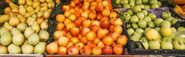 Ripe apples and pears on stall on street, banner  clipart