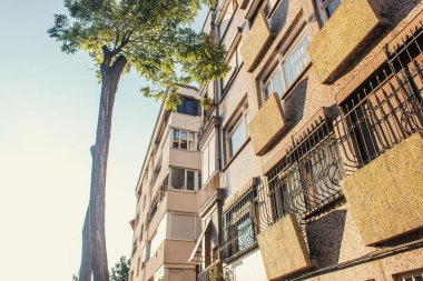 İstanbul, Türkiye 'de ağaç ve ev manzarası düşük 