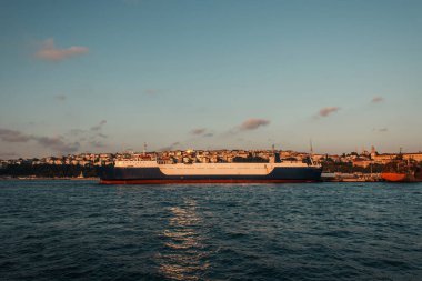 Kargo gemisi İstanbul, Türkiye limanına demir attı 